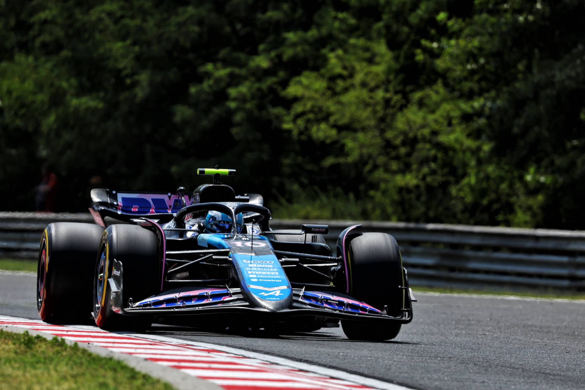 Alpine Pierre Gasly